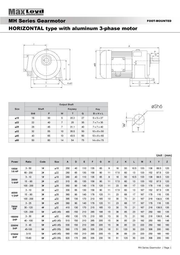 Motor