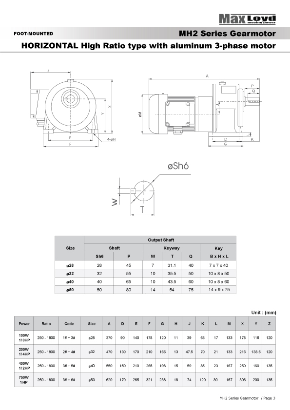 Motor